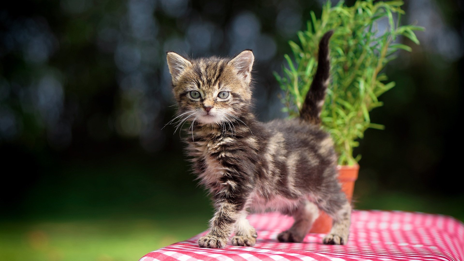 开云APP-垂钓比赛，淡定享受钓鱼乐趣，2020年垂钓比赛